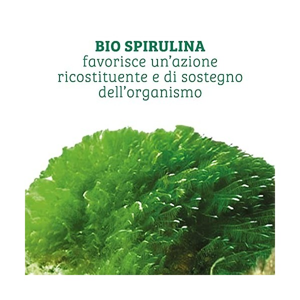 Colours Of Life Colours Of Life Bio Spirulina - Supplément de Spirulina platensis biologique 180 comprimés - 90 g, BIO SPIRUL