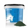 PharmaHorse Spiruline | Algues séchées pour Cheval | Cocktail de vitamines pour Cheval | sans éléments dopants & sans Sucre |