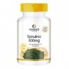 Spiruline 500 mg - 500 comprimés - Végétarien - spiruline dalgues en poudre -riche en Chlorophylle | Warnke Vitalstoffe