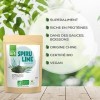 ESPRIT BIO – POUDRE DE SPIRULINE BIO 200g – Superaliment – Protéines – Mélanger en Sauces ou Boissons – 100% Bio et Vegan
