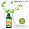 Gouttes de liquide de stévia pure 50 ml – saveur de vanille - avec compte-gouttes en verre