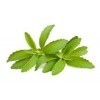 Vererm Poudre de feuilles de stévia 250 g