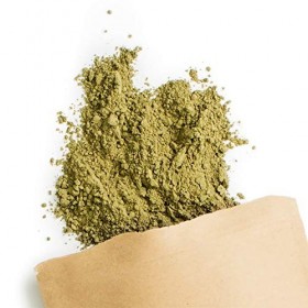 Terra Elements Stevia en poudre 100 g I 100% pure I vegan I qualité crue