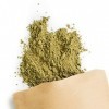 Terra Elements Stevia en poudre 100 g I 100% pure I vegan I qualité crue