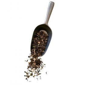 Tisane Baccharis trimera 100 GRS.