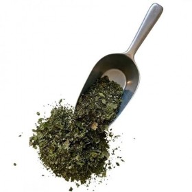 Tisane Mélisse bouquet 1 KILO Mélissa officinalis.