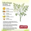 Thé organique de moringa, herbe entière sans caféine, végétalien, antioxydant 100 sachets de thé 