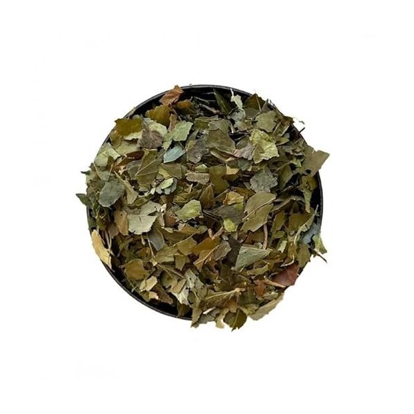 Tisane Lierre grimpant feuille 1 KILO Hedera helix.