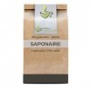 Tisane Saponaire plante 250 GRS Saponaria officinalis