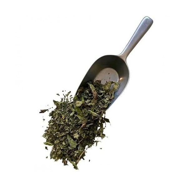 Tisane Menthe poivrée feuille 1 KILO Mentha piperita