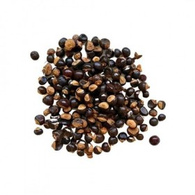 Tisane Guarana SEMENCE ENTIERE 1 kilo Paullinia cupana var.sorbilis