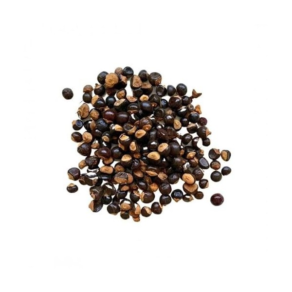 Tisane Guarana SEMENCE ENTIERE 1 kilo Paullinia cupana var.sorbilis