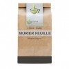 Tisane Murier feuille 1 KILO morus nigra