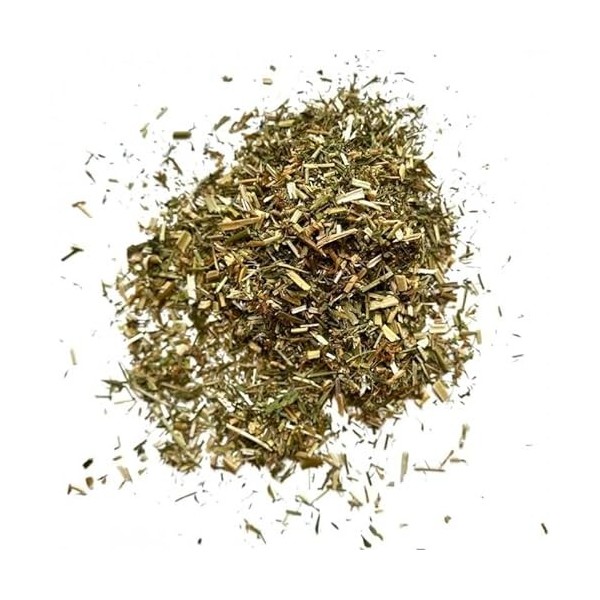 Tisane Galéga plante 1 KILO Galéga officinalis.