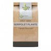 Tisane Serpolet plante 1 KILO Thymus serpyllum.