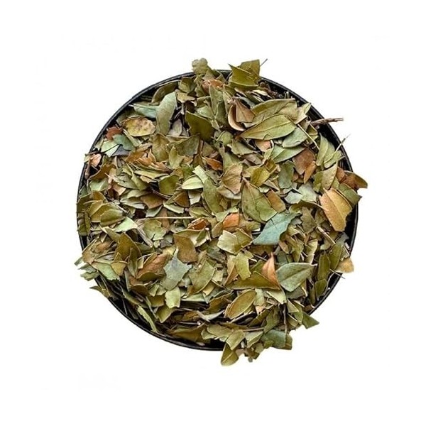 Tisane Myrte feuille ENTIERE 1 KILO Myrtus communis.