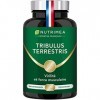 TRIBULUS TERRESTRIS - Extrait Titré à 40% de Saponines - Source dEnergie pour Performances Sportives, Endurance & Croissance