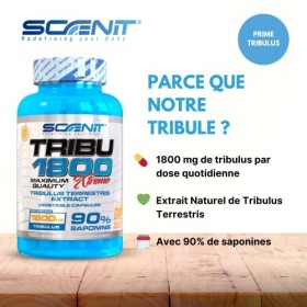 TRIBU 1800-1800 mg de Tribulus Terrestris par dose quotidienne avec 90% de saponines - 120 gélules végétales