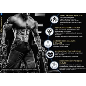 Beta Ecdysterone + Tribulus Terrestris - Renforcement Musculaire Fitness Booster de Synergie Nutrition | 60 doses quotidienne