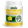 Tribulus Terrestris 500 mg - 200 gélules