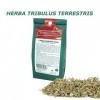 Booster de libido et de testostérone HERBA Tribestan TRIBULUS TERRESTRIS - Thé de 100g dherbes