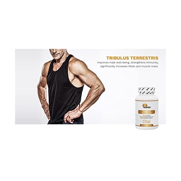 SOWELO TRIBULUS TERRESTRIS Extrait 1000MG 90 comprimés 