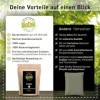 Biotiva Poudre de Triphala bio - 200g - Amalaki, Haritaki, Bibhitaki - Triphala ayurvédique bio - Conditionné et contrôlé en 