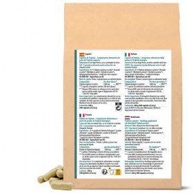 Capsules de Triphala bio 400 pièces | Recharge | avec 500mg de poudre de Triphala chacune | Combinaison dAmalaki, Bibhitaki 