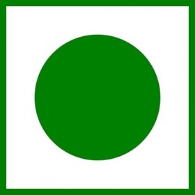 panihari Jus daloevera Triphala en 1 litre