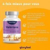 Valériane Hautement Dosée 500 mg par Dose Journalière , 400 Comprimés pour Plus dun An, Extrait de Racine de Valeriane Pure
