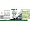 Fairvital | Valerian 500mg - set pour pendant 3 mois - VEGAN - dose élevée - 4 fois concentré 90 Capsules- extrait de racine 