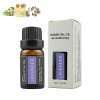 Leise Valerian Essential Oil - 10ml Valerian Root Essential Oil for Sleep,Pure Valerian Root Sleep Aid Essential Oi, Natural 