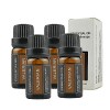 Leise Valerian Essential Oil, Leise Valerian Root Essential Oil, Valerian Root Sleep Aid Essential Oil, Organic Valerian Esse