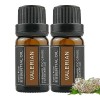 Leise Valerian Root Essential Oil, Leise Valerian Oil, Valerian Root Sleep Aid Essential Oil, Improving Insomnia Symptoms And