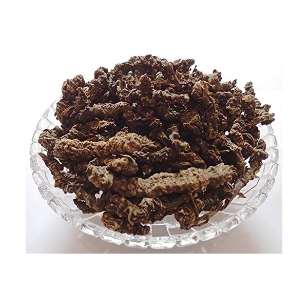 AOZA Tagar Ganth - Mushkbala - Sugandhabala - Racine de valériane - Valeriana Wallichi 250 g/m² 