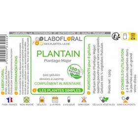 Plantain Labofloral 500 gélules dosées à 240 mg - Complément alimentaire - Respiration, allergies - Fabriqué en France