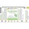 Plantain Labofloral 500 gélules dosées à 240 mg - Complément alimentaire - Respiration, allergies - Fabriqué en France