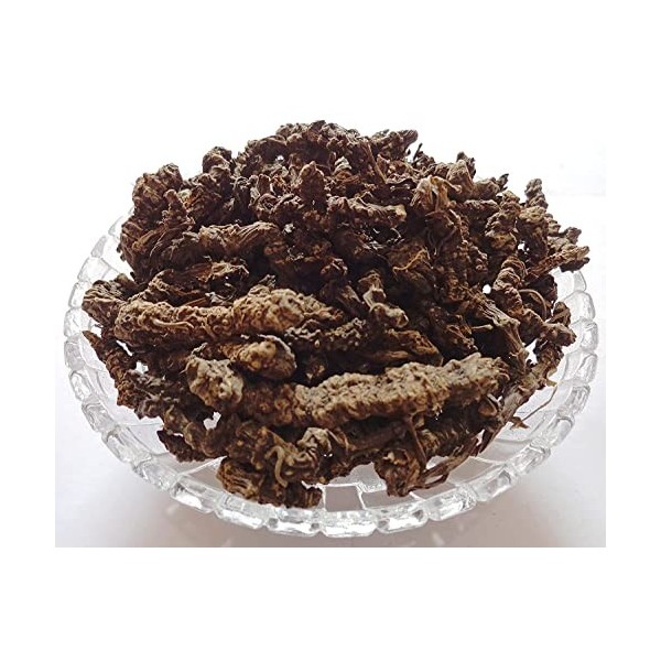 panihari Tagar Ganth - Mushkbala - Sugandhabala - Racine de valériane - Valeriana Wallichi 250 g/m² 