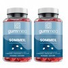 Gummea Sommeil Pack de 2X60 Gummies | Complément Alimentaire à Base de Mélatonine et de Vitamine B6 | Contribue à Réduire le 