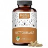 Raibu Nattokinase 240 Gélules Hautement Dosé 100 mg 20.000 FU/g - 8 mois dapprovisionnement | Testé en laboratoire et végé