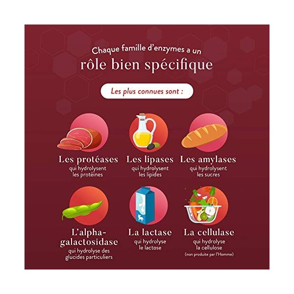 Lactase et Enzymes Digestives Végétales | 12000 UI de Lactase | Digestion Difficile, Ballonnements et Intolérance au Lait | F