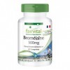 Fairvital | Bromélaïne 500mg - pendant 2 mois - VEGAN - Fortement dosé - 60 comprimés - 1200 FIP - enzyme dananas