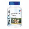 Fair & Pure® - Bromélaïne 500mg - dosage élevé - enzyme ananas - végan - 120 comprimés