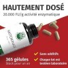 GREEN NATURALS Nattokinase Hautement Dosée en Capsules Végétales | Complément Alimentaire - 365 Capsules | Vegan Sans OGM | 2