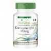 Fairvital | Co-enzyme Q10 100mg - 2 mois - VEGAN - Fortement dosé - 60 capsules - ubiquinone