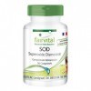 Fairvital | SOD - superoxyde dismutase Fortement dosé - 90 comprimés - 6000 unités dactivité enzymatique par portion journal