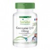 Fairvital | Co-enzyme Q10 100mg - boite de 4 mois - VEGAN - Fortement dosé - 120 capsules - ubiquinone