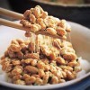 JINGAN fermentation Natto | natokinase naturelle fermentée - Extrait soja biologique 3g, nattokinase, fermentation natto pour