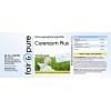 Fair & Pure® - Curenzym Plus - complexe enzymatique à libération retardée - 100 DRCaps - avec bromélaïne - trypsine - chymotr