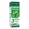 Santarome Bio - Confort Intestinal Bio | Complément Alimentaire Bio | Tri-Complexe de bourgeons - Bouleau, Romarin, Airelle |